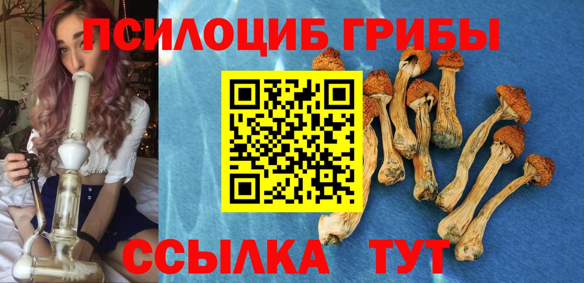 Екатеринбург  Псилоцибиновые грибы MAGIC MUSHROOMS  Вход с VPN 